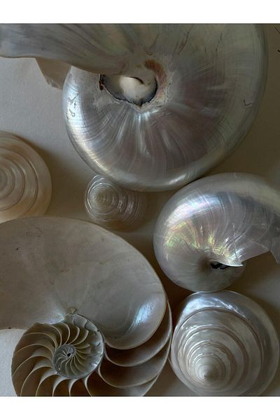 Harikabirev ΥΠΕΡΑΣΤΗ | ΜΟΝΤΕΛΟ ΣΤΑΜΠΑ ΣΑΛΙΝΤΟΝΙΟΥ (SNAILSHELL) | ΤΡΑΠΕΖΙ ΚΑΘΕΤΟ ΜΟΝΟ ΜΕ ΠΛΑΙΣΙΟ ΘΕΡΜΑΝΤΗΜΕΝΟ ΓΥΑΛΙ