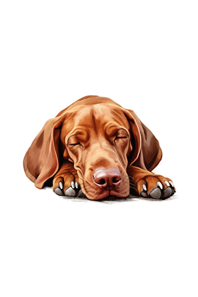 INOVATIX Set de 8 piese, autocolant Vizsla, INOVATIX®. 6 cm