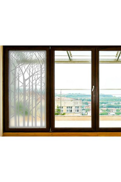 media Decorative window film 6 floral, 1 m x 2.1 m