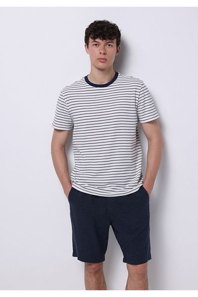 Colin's Regular Fit Round Neck Striped Men's Blue Short Sleeve T-Shirt