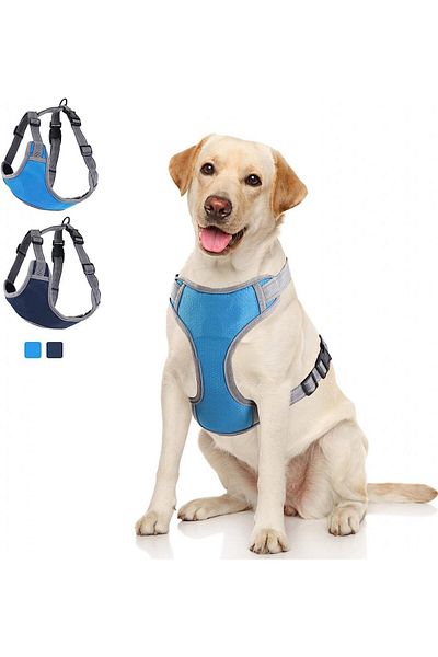 ERUW dog harness, nylon, gray/blue, size L