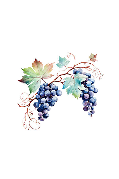 INOVATIX Set de 8 bucăți, autocolant Struguri negri cu frunze, INOVATIX®. 6 cm