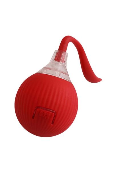 Sprise Electric ball for dogs and cats