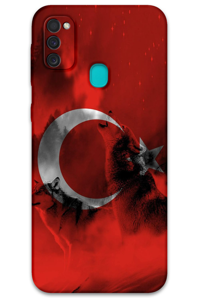 Gramaphone Galaxy M21 Compatible Car Pattern Phone Case + Screen Protector - ...