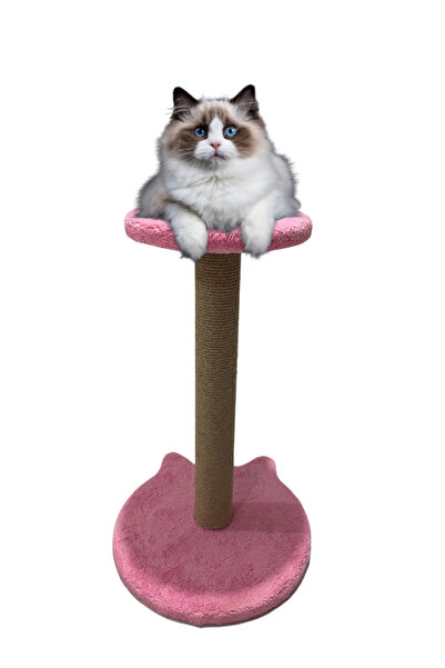 PETiTOYS لوح خدش للقطط مقاس 54 سم مع أذن ومقعد