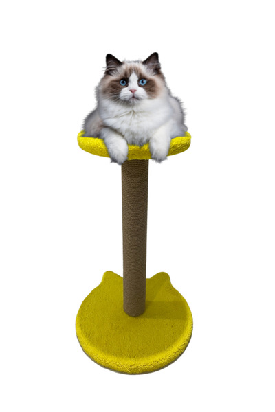 PETiTOYS 54 cm Cat Scratching Board with Ears and Seat