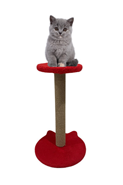 PETiTOYS 54 cm Cat Scratching Board with Ears and Seat