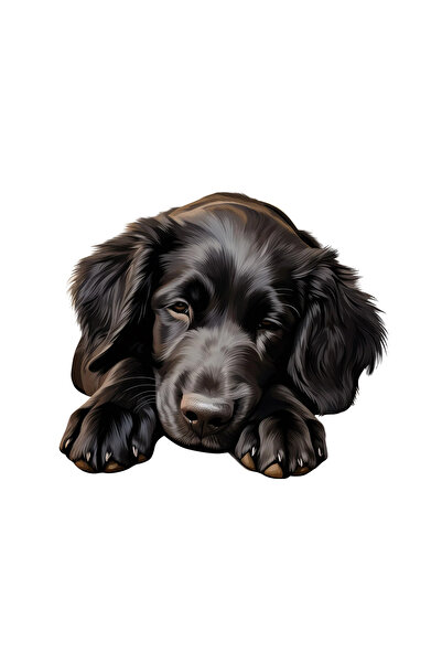 INOVATIX Set de 8 piese, autocolant Retriever cu păr drept negru, INOVATIX®. ...