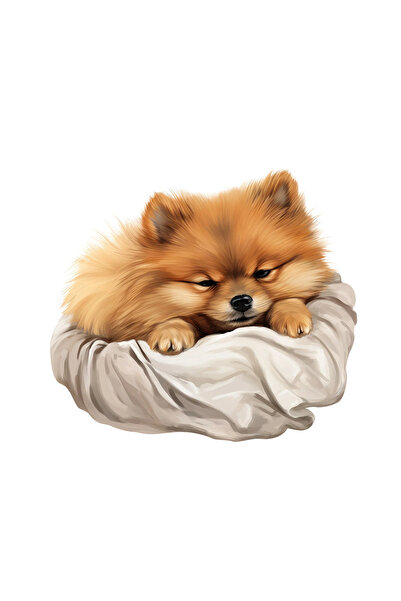 INOVATIX Set de 8 bucăți, autocolant Pomeranian, INOVATIX®. 6 cm