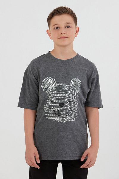Fulla Moda Teddy Bear Printed Crew Neck Boys T-Shirt