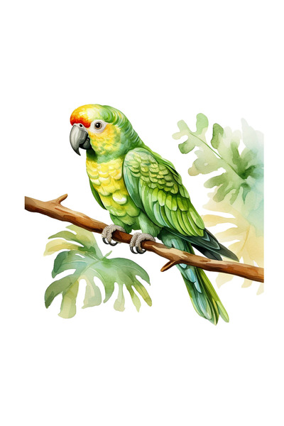 INOVATIX Σετ 8 τεμαχίων, Αυτοκόλλητο Πράσινος Παπαγάλος σε κλαδί, INOVATIX®. ...