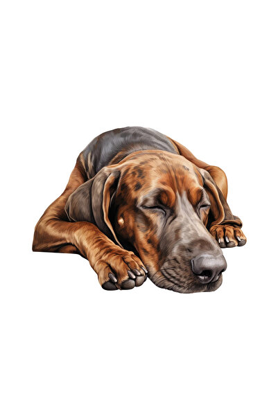INOVATIX Set de 8 piese, autocolant Plott Hound, INOVATIX®. 6 cm