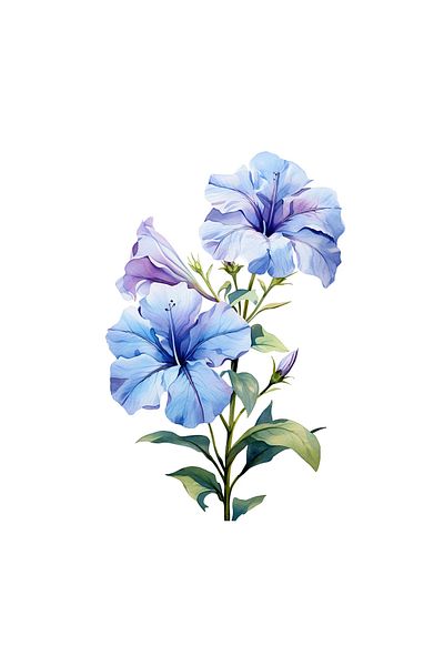 INOVATIX Set of 8, Blue Petunias Sticker, INOVATIX®. 6 cm