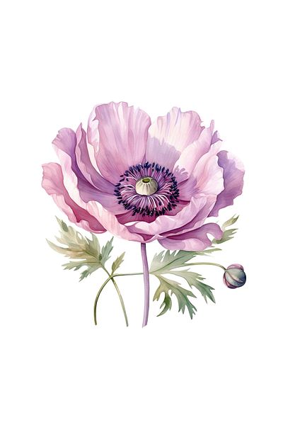 INOVATIX Set of 8 pieces, Sticker Anemone with bud, INOVATIX®. 6 cm
