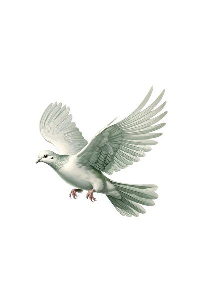 INOVATIX Σετ 8 τεμαχίων, Αυτοκόλλητο Περιστέρι με κολάρο, INOVATIX®. 6 εκ.