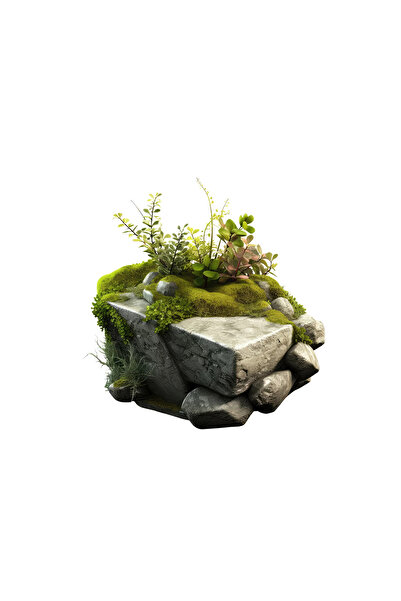 INOVATIX Set de 8 piese, autocolant piatră plante verzi și mușchi de copac, I...