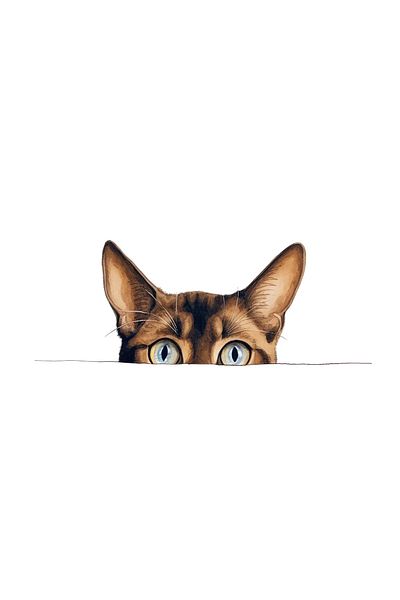 INOVATIX Set of 8 pieces, Shy Cat Sticker, INOVATIX®. 6 cm