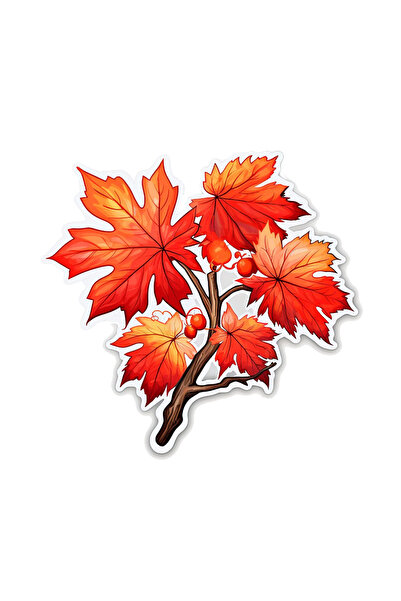 INOVATIX Set de 8 piese, autocolant Parfumul toamnei, INOVATIX®. 6 cm