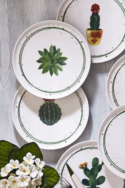 Fecra Cactus 6 Piece Cake Plate Set