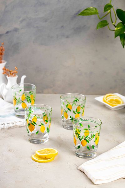 FH finehome Bodrum 4-Piece Water Glass Set 275 Cc