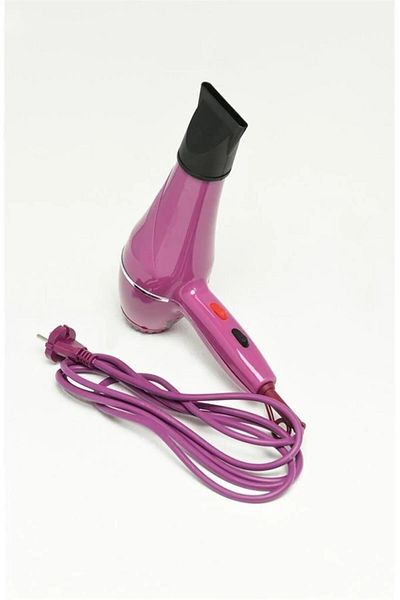 POWERTEC TR-501 Professional Blow Dryer [Purple]