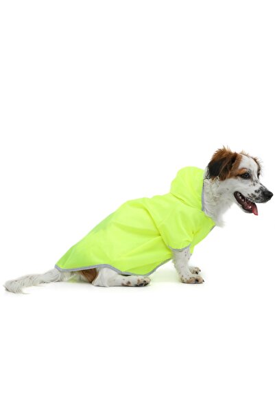 DOGİ&DOG Küçük Irk Neon Yeşil Kedi Köpek Yağmurluğu Kedi Köpek Kiyafeti