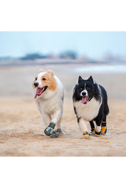 True Love Suya Dayanıklı, Nefes Alabilen, Yeşil Köpek Ayakkabısı