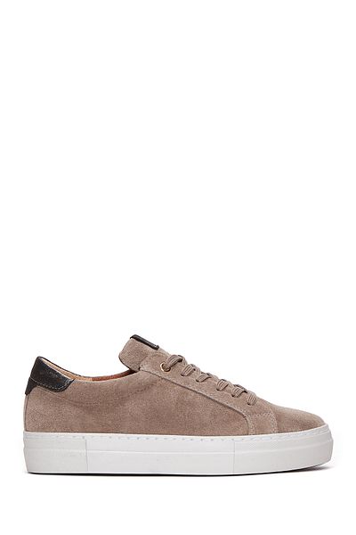 Derimod Mink Suede Leather Women's Sneakers - Lace-up, 24WFD 370010