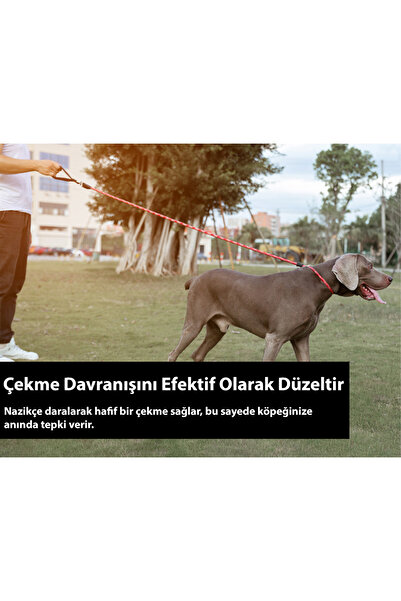 True Love Reflektörlü Kahverengi Boğma Tasma Halatı