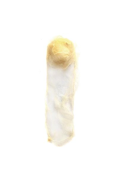 Gymo Thin Invisible Hair Bun Net (Pack of 5) Yellow