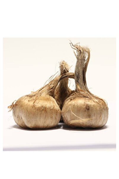 uznticaret 1kg Safran soğanı