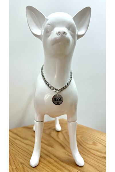 JesPawty Isimli Çelik Künyeli Zincir Kedi Köpek Kolyesi