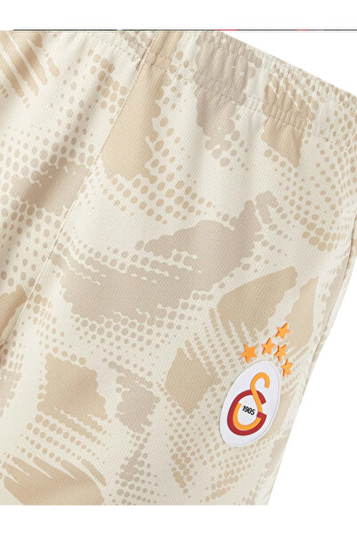 GSStore Galatasaray Puma 2024/2025 Kaleci Gri Şort 77967506