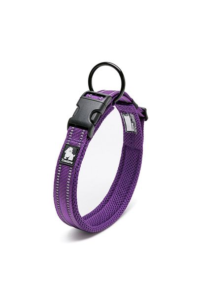 True Love Mesh Purple Neck Collar with Soft Sponge