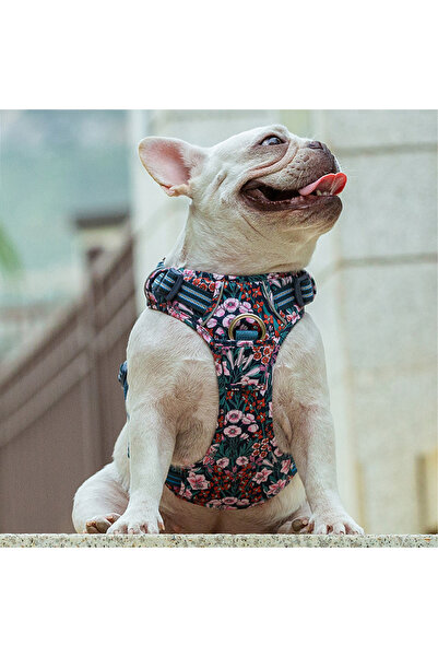 True Love Renkli Çiçek Desenli, Alüminyum D-halkalı, Ergonomik Mavi Göğüs Tasması