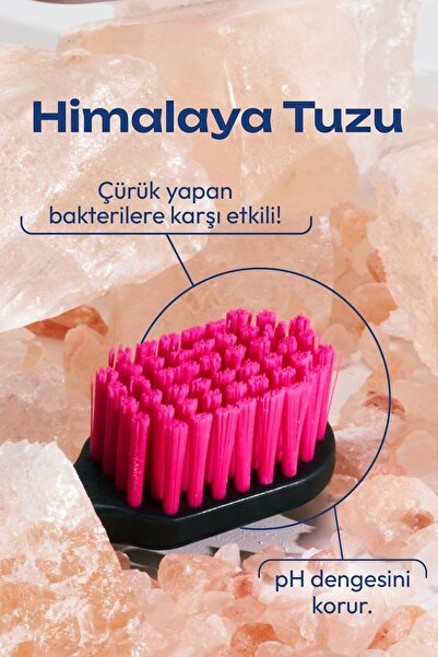 Probident Probiwhite Himalaya Tuzlu Doğal Vegan Diş Fırçası El Yapımı Stant Hediye