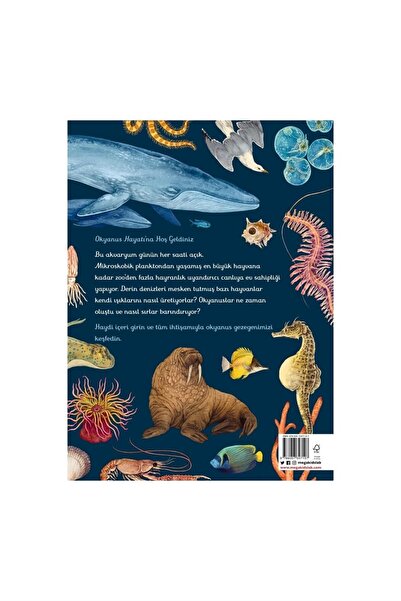 megakidslab Oceanarium - Okyanus Müzesi | ansiklopedik Çocuk Kitabı