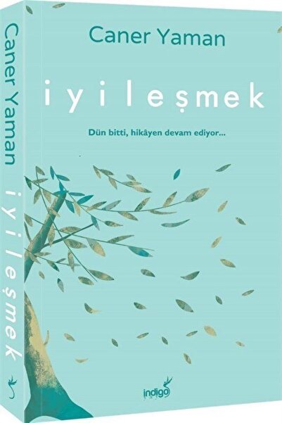 İndigo Kitap Iyileşmek