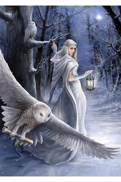 Art Puzzle Anne Stokes Midnight Messenger 1000 Piece Puzzle