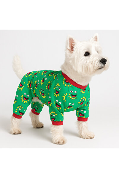 DOGİ&DOG Küçük Irk Green Frog Kedi Köpek Tulumu Köpek Kıyafeti (1-10kg)