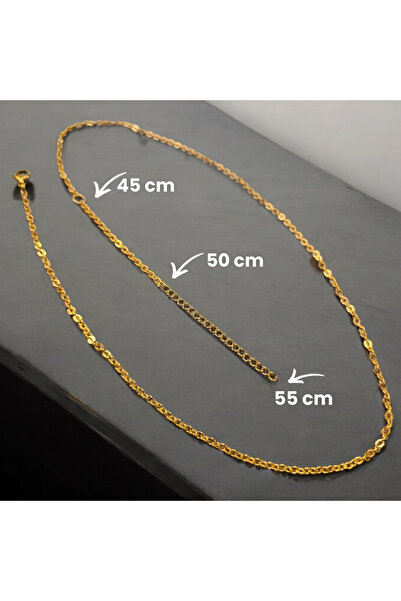 alvetak Gold Color, Stainless Steel