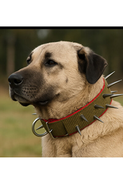 KASTAMONU BEYZADE YÖRESEL PAZARI Dikenli dokuma köpek tasması 75 cm