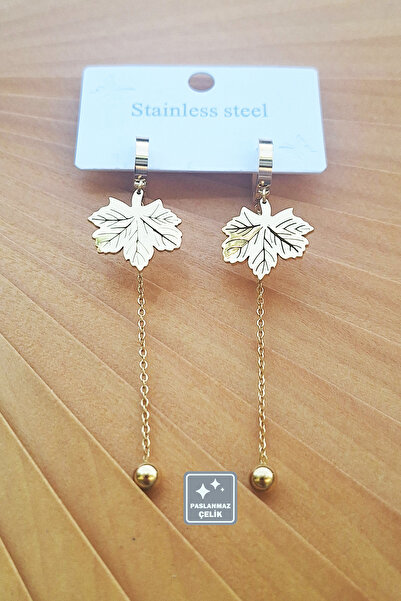 Miss TBee 🎇Küpe Festivali-Çeşit Çeşit Paslanmaz Çelik Küpeler