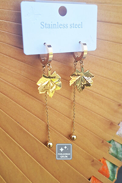 Miss TBee 🎇Küpe Festivali-Çeşit Çeşit Paslanmaz Çelik Küpeler