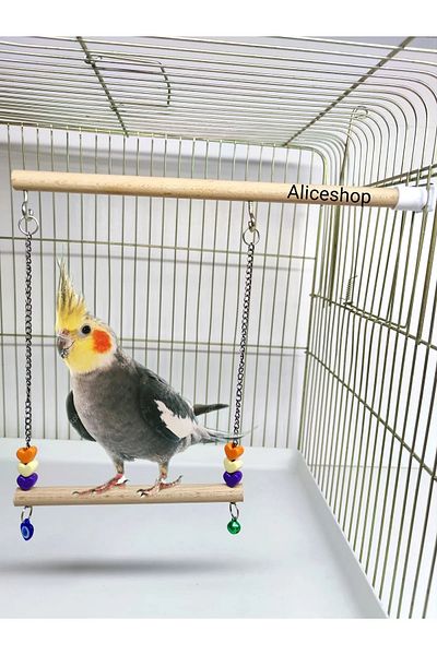 Alice Perch Swing for Cockatiels and Birds of Various Sizes