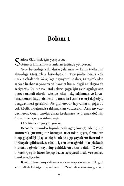 Pegasus Yayınları Fırtına Mevsimi - Bir Witcher Romanı | Andrzej Sapkowski