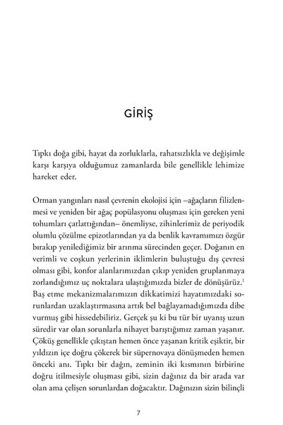 Pegasus Yayınları Dağ Sensin: Kendini Sabote Etmeyi Öz Hâkimiyete Dönüştürmek - Brianna Wiest