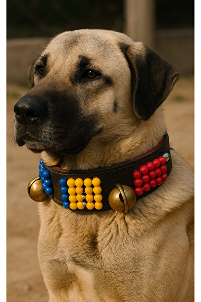 KASTAMONU BEYZADE YÖRESEL PAZARI Genuine Handcrafted Large Breed Leather Dog ...
