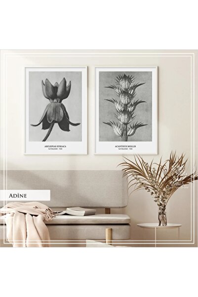 Tablomtr Metal Çerçeveli Gerçek Camlı Tablo AdineB 2 liSet