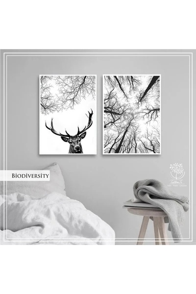 Tablomtr Metal Çerçeveli Gerçek Camlı Tablo Biodiversity 2 liSet